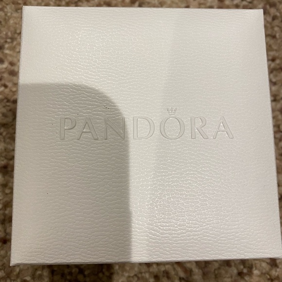 Pandora Bracelet with Charm - Picture 5 of 5